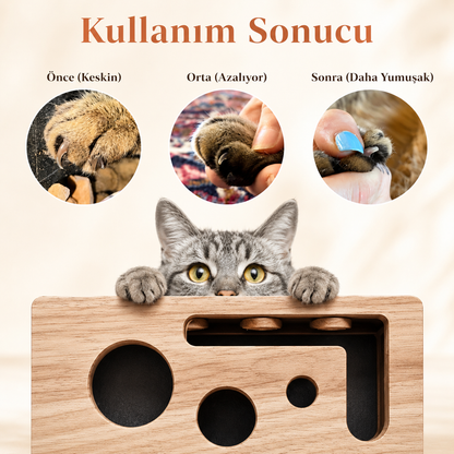 Patilus Tırnak Törpüleyen Tırmalama ve Oyun Kutusu